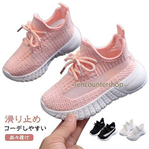 T_ LbY LbY Xj[J[ [Jbg ̎q V[Y y Lk ʋC y hL qC j̎q ct qǂ ʊw wZ 