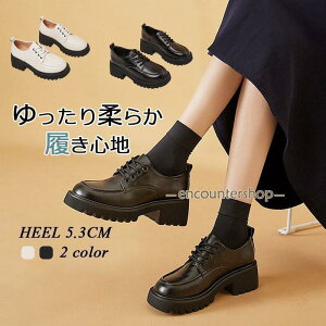 [t@[ w q fB[X ʊw ʋ wC wZ y pvX  ɂȂ ҂ݏグ ₷ 10203040 o w RXv f[g