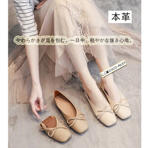 fB[Xt@bVpvX ؂ C tbgV[Y XNGAgD n { JWA 킢  ꂢ [q[ wlp