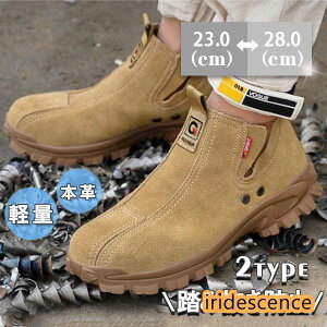 SC Xj[J[ {v Y fB[X jp |c Xb| ~ ϖ Z[teB[ ݔh~ ƌC Ȃ K