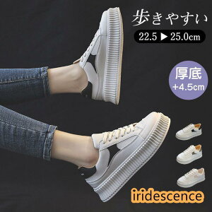 Xj[J[ fB[X V[Y ʋΒʊw Xj[J[ [Jbg rV[Y ₷ Ȃ tbg ؂ ʋC