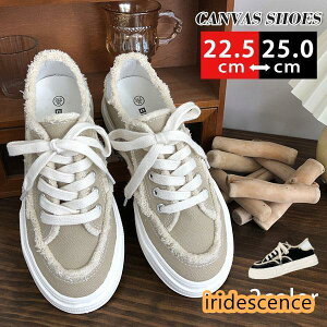 Xj[J[ fB[X LoX [Jbg C tbgV[Y ؂ V JWA t _[WH X|[c  ʋΒʊw