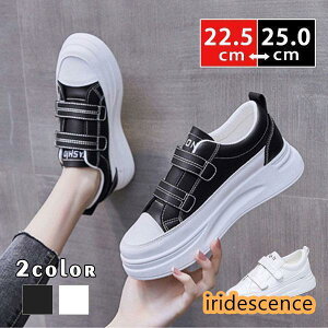 Xj[J[ fB[X EH[LO JWAV[Y nCq[  C K ʊw ʋ n RȂ  t H ~ AE^[ Vv