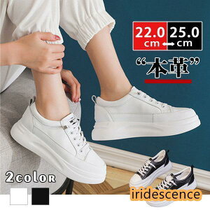 Xj[J[ fB[X EH[LO JWAV[Y nCq[ C {v ʊw ʋ n N bV  t H ~  AE^[