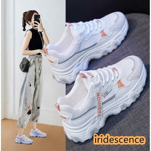 Xj[J[ fB[X   40 30  5cmgUP Ȃ V[Y {A ؍ ʋΌC JWA y r  t  H ~ 2021V