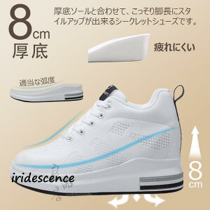 Xj[J[ fB[X  ɂ y   Cq[Xj[J[ V[NbgV[Y 8cm ₷ r q[Abv
