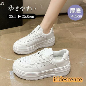 Xj[J[ fB[X V[Y ʋΒʊw Xj[J[ [Jbg rV[Y ₷ Ȃ tbg ؂ ʋC