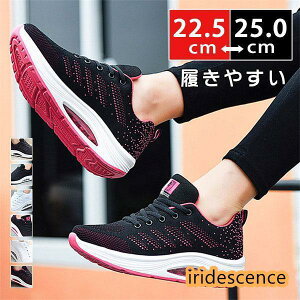 tV Xj[J[ fB[X EH[LO JWAV[Y D^ NbV i[XV[Y ʊw ʋ  t H  bV K