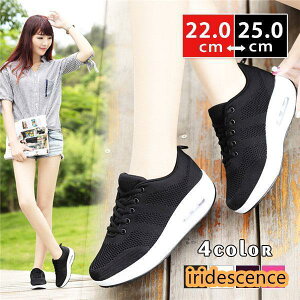 Xj[J[ fB[X EH[LO JWAV[Y nCq[ C  ʊw ʋ n NbV bV  t H ʋC CjO