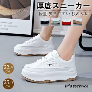 Xj[J[ fB[X X|[cV[Y C V[Y ~ h r r ₷ Ȃ ɂȂ ʋC Vv ʋ ʊw 