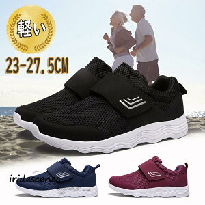 Xj[J[ Y fB[X }WbNe[v  V[Y nrV[Y y E₷ ₷ hV̓ v[g