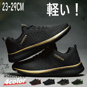 Xj[J[ jOV[Y Y fB[X 傫 ^ y ʋC X|[cV[Y EH[LO y ʊw ʋ d