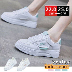 Xj[J[ fB[X EH[LO JWAV[Y nCq[  C K ʊw ʋ n zCg  t H ~ ʋC AE^[