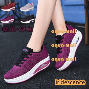 fB[X Xj[J[   V[Y  y  V L EH[LO Cq[  Xb| C Ȃ bNX