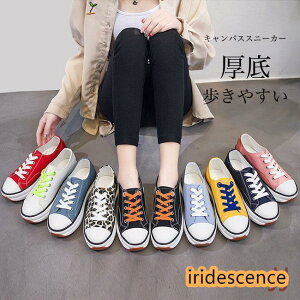 Xb| Xj[J[ fB[X LoXXj[J[ RtH[gV[Y h  3cm ʋC _ h JWAV[Y V[Y