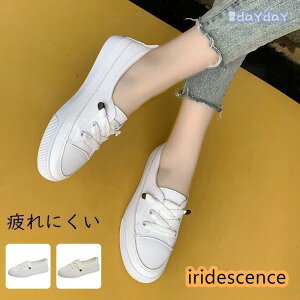 Xj[J[ ^C y fB[X jOV[Y [Jbg ɂ  C 3040