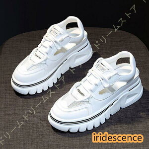 T_ fB[X Xj[J[T_ T_Xj[J[ Xj[J[  ؍ r X|[cT_ ʋC gAbv nCq[ EFbWT_