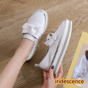 Xb| Xj[J[ fB[X  {v   [t@[ [Jbg vC LL CXg[  JWAV[Y tbgV[Y