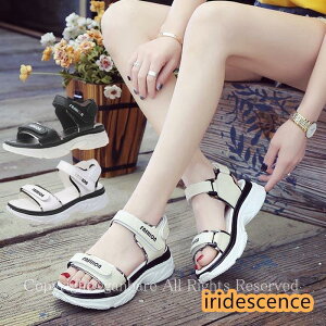 tR[f X|[cT_ ̓ fB[X Xj[J[T_ T_ ₷ h y JWA ^C  xg Xgbv