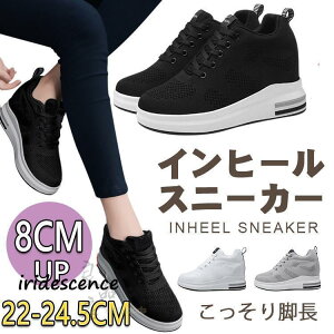 Xj[J[ fB[X   Cq[Xj[J[ V[NbgV[Y 8cm ₷ r q[Abv ɂ y