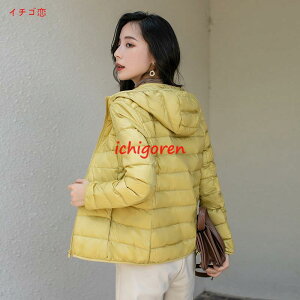 _EWPbg t[ht fB[X _ER[g V[g Cg_E AE^[ y h h