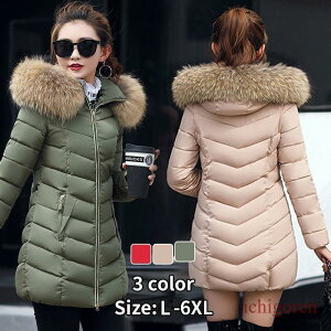 _ER[g fB[X _EȃR[g AC y _EWPbg 傫TCY fB[X i H~