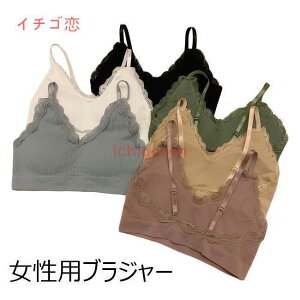 uW[ C[  fB[X X|[cuW[ g u pbh  A_[EFA Ci[ tBbglX K