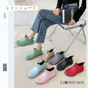 Cu[c fB[X JC Xj[J[ CV[Y V[g ~ ~J JWA AEghA ʋ ʊw Jp  Oo