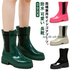 TChSA Cu[c fB[X V[g  Cu[c  V[gu[c Sh CV[Y ʋ ʊw  C C