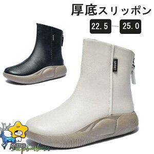 Xb| O Xj[J[ fB[X Vbgu[c Xj[J[nCJbgXj[J[  N g ₷ ₷