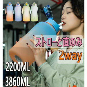vX`bN e 2L 3L ^b` Xg[ ̂ y^ ^ Of[V {g W ̑ K g[jO oR