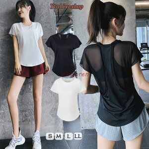 KEFA 傫TCY fB[X gbvX  zbgK tVc   X|[cEGA