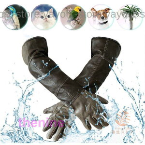 �y�b�g��������� �y�b�g�p�����h�~��� �y�b�g�O���[�u �ی��� ���v �h�� �y�b�g�̓��� �����~���⊚�݂��h�~ ���|��� �ϔM ���� ���Ղɋ���