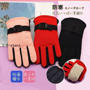 XL[O[u LbY WjA  q j̎q ̎q h Xm[O[u {A h V h ۉ AEghA oCNO[u