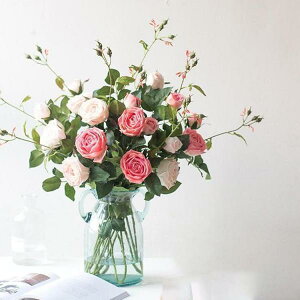  CeA [Yo`  G i` @@ԑ u[P tFCNO[@v[g Mtg