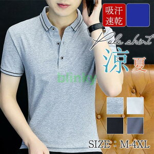 |Vc TVc Y StVc rWlX  polo jtH[ X|[c  StEFA  ̓ 