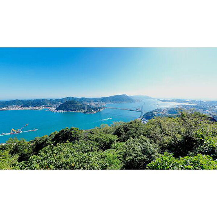 楽天市場】ふぐ 恋盛り 2人前 冷蔵 とらふぐ 魚 魚介 刺身 刺し 高 