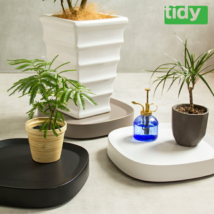 楽天市場 ガーデニング 植木鉢トレー キャスター付き ティディ Tidy プランタブル ホワイト ブラウン ブラック 耐荷重40kg 日本製 リビング キッチン 室内 観葉植物 庭 玄関 キャスター台 おしゃれ かわいい 一人暮らし Cocoa ナチュラルキッチン雑貨
