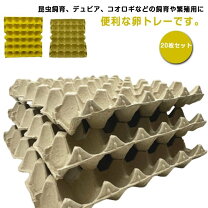 楽天市場】デュビア ケースの通販