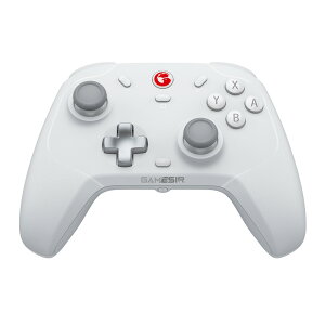 GameSir T4 Cyclone ���� �L���Q�[���R���g���[���[ (Switch Windows PC Android iOS USB-C Bluetooth �}�N�� 6���W���C�� �o�C�u���[�V���� )�z���C�g