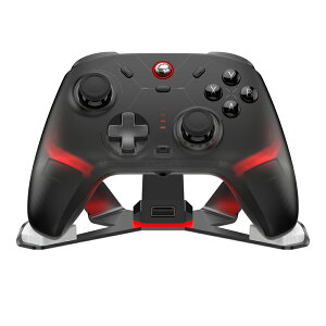 GameSir Cyclone2 Bundle Black ���� �L���Q�[���R���g���[���[(Switch Windows PC Android iOS Bluetooth 2.4GHz USB-A 6���W���C�� �^�[�{ �}�N�� �[�d��t��)