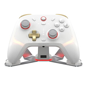 GameSir Cyclone2 Bundle White ���� �L���Q�[���R���g���[���[(Switch Windows PC Android iOS Bluetooth 2.4GHz USB-A 6���W���C�� �^�[�{ �}�N�� �[�d��t��)