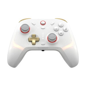 GameSir Cyclone2 White ���� �L���Q�[���R���g���[���[(Switch Windows PC Android iOS �w�ʃ{�^�� �}�C�N���X�C�b�` �A�ˋ@�\ �}�N�� 6���W���C�� 1�N�ԕۏ�)