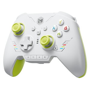 BIGBIG WON RAINBOW2 SE Green ���� �L�� �Q�[���R���g���[���[(Switch iPhone Andoroid Windows10 11 Bluetooth 2.4GHz USB-A �^�[�{ �}�N�� �W���C��)�O���[��