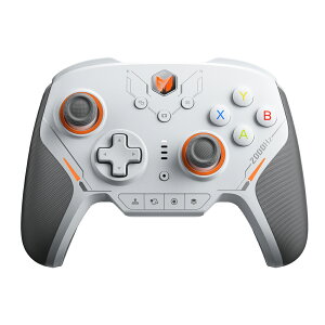 BIGBIG WON �r�b�O�r�b�O�E�H�� BLITZ2 TMR ���� �L���Q�[���R���g���[���[(Switch iPhone Android Windows PC Bluetooth 2.4GHz USB Type-A �W���C���L)�O���[