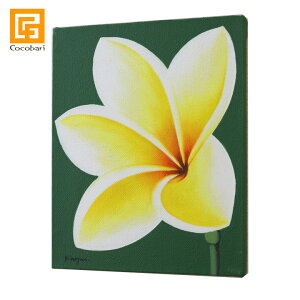 バリ絵画 プルメリア1(25cm×20cm) 【 花 バリ 絵画 壁掛け インテリア バリアート おしゃれ 販売 ハワイ ハワイアン雑貨 バリ島 インテリア雑貨 】