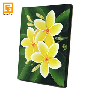 oG vA3(40cm×30cm) y  o G Ǌ| CeA oA[g  ̔ nC nCAG o z