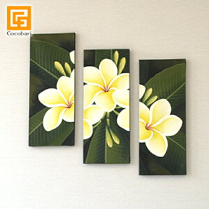 oG vA (3A)(50cm×60cm) y A[gpl  CeA  o G 3 Ǌ| oA[g nC  ̔ z