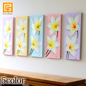 G vA(pXeJ[)(50cm×20cm) y A[gpl  CeA  G o  킢 nC nCAG sps5 z