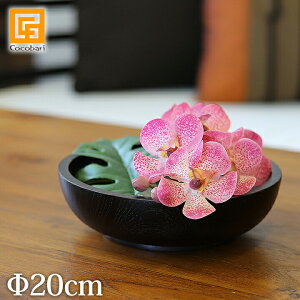 {E(`[N)_[NuE(20cm) y {E o G AWA G oG AWAG ][g ze o o 썑 CeA u fUC GXeEXppi Ɩp X 